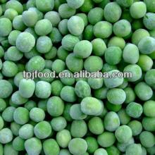 IQF green peas with FDA, HALAL,KOSHER,BRC certificates