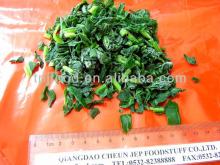 Quick Frozen Chinese Spinach Dices with all certificates proved