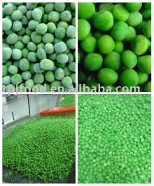 Export to all the world Frozen Green Peas