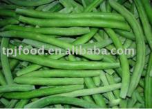  IQF   whole   green   beans (FDA,HACCP,HALAL,BRC)