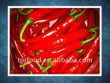frozen chilli with FDA BRC,HALAL,HACCP,KOSHER