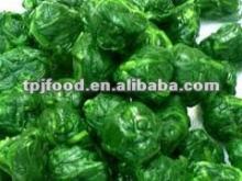 iqf frozen spinach ball in high quality (FDA BRC HALALA ISO)