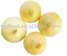 fleshy iqf frozen onion with FDA,BRC,HALAL,KOSHER,HACCP