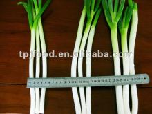 long shallot (food beverage) with FDA BRC HALAL HACCP certification