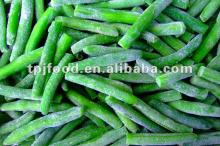 healthy frozen iqf cut green bean with FDA BRC HALAL HACCP ISO