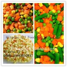 frozen mixed vegetables(frozen oriental mixed vegetables) with FDA,BRC,HALAL,KOSHER,HACCP ISO