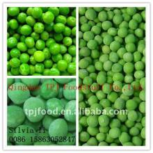 frozen pea price (green pea) with FDA BRC  HALAL   KOSHER   HACCP   ISO 