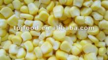 smooth milky iqf yellow sweet corn kernels with FDA BRC KOSHER HALALcertification