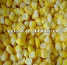yellow corn (frozen yellow sweet corn)with the FDA BRC HALALA COSHERcertificate