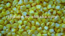 super sweet corn (deep frozen vegetables) with FDA BRC KOSHER HALALcertification
