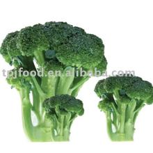 Chinese frozen broccoli spears