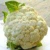 frozen cauliflower floret with FDA,BRC,HALAL,KOSHER,HACCP