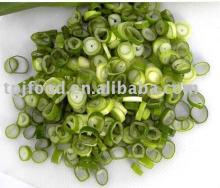 Newly Processed and High Quality frozen scallion pieces with KOSHER/FDA by blanched