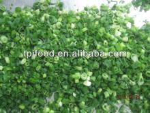  Frozen  Chive with FDA