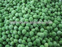 Best price IQF Green Peas