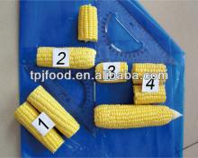 Frozen Corn without cob