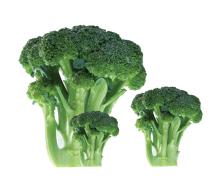 Quick Frozen Broccoli