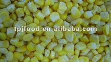 yellow corn with FDA BRC,HALAL,HACCP,KOSHER