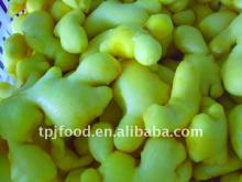 frozen peeled ginger with FDA BRC HALAL KOSHER