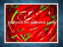 frozen chilli with FDA,BRC,HALAL,HACCP,KOSHER