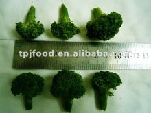 iqf broccoli florets with FDA BRC,HALAL,KOSHER,HACCP