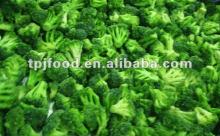 frozen broccoli florets (iqf broccoli florets)with FDA BRC,HALAL,KOSHER,HACCP,ISO