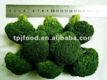 iqf broccoli (frozen indian food)with FDA BRC,HALAL,KOSHER,HACCP