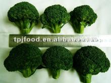 iqf broccoli (frozen broccoli florets) with FDA BRC HACCP HACCP