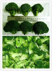  iqf   broccoli   florets  (food beverage)with FDA BRC,HALAL,KOSHER,HACCP
