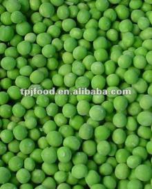 garden peas (food beverage) with high quality(2012)