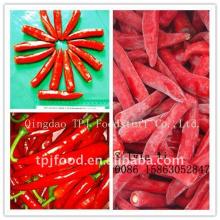 frozen chilli (jinta) with FDA,BRC,HALAL,HACCP,KOSHER