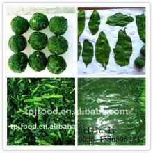 frozen chopped spinach (frozen foods) with FDA BRC,HACCP,ISO ,KOSHER