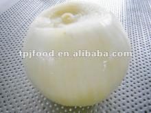 frozen whole onion with FDA,BRC,HALAL,KOSHER,HACCP,ISO9001,ISO22000