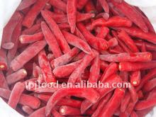 iqf whole chilli (jinta) with FDA,BRC,HALAL,HACCP,KOSHER