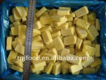 frozen paste (garlic ginger) with FDA BRC,HALHAL,KOSHER,HACCP