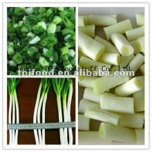 frozen spring onion (frozen foods) with FDA,BRC,HALAL,HACCP,KOSHER