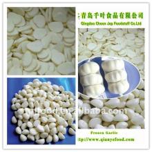 iqf garlic puree (food beverage) with FDA BRC,HALHAL,KOSHER,HACCP