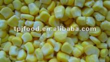 frozen vegetarian sweet corn kernels with FDA BRC,HALAL,HACCP,KOSHER