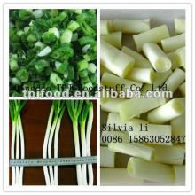 IQF shallot (frozen shallot pieces) with FDA BRC,HALAL,KOSHER,HACCP