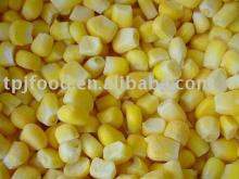 smooth IQF frozen sweet corn kernels with FDA BRC,HALAL,HACCP,KOSHER