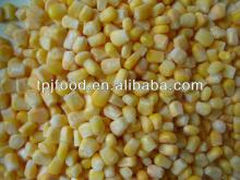IQF frozen sweet corn export to Iran