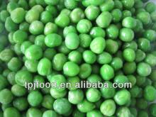  Frozen   pea s with BRC KOSHER HALAL ISO22000 certificate