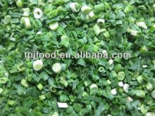 High quality IQF green onion/scallion pieces