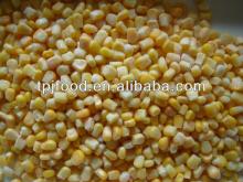 Frozen  whole   kernel s sweet corn export to all over the world