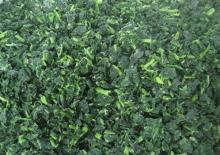 Frozen chopped spinach