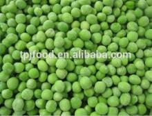 New crop IQF peas with BRC KOSHER HALAL ISO22000 certificate
