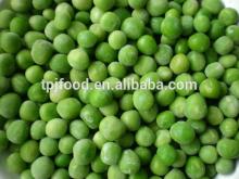 IQF green peas with BRC KOSHER HALAL ISO22000 certificate