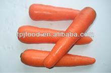 Frozen Carrot with best prices(Dices,strips,slices)