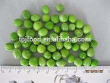 IQF green peas - frozen vegetables
