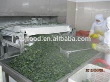  IQF   chopped   spinach  -  leaves 